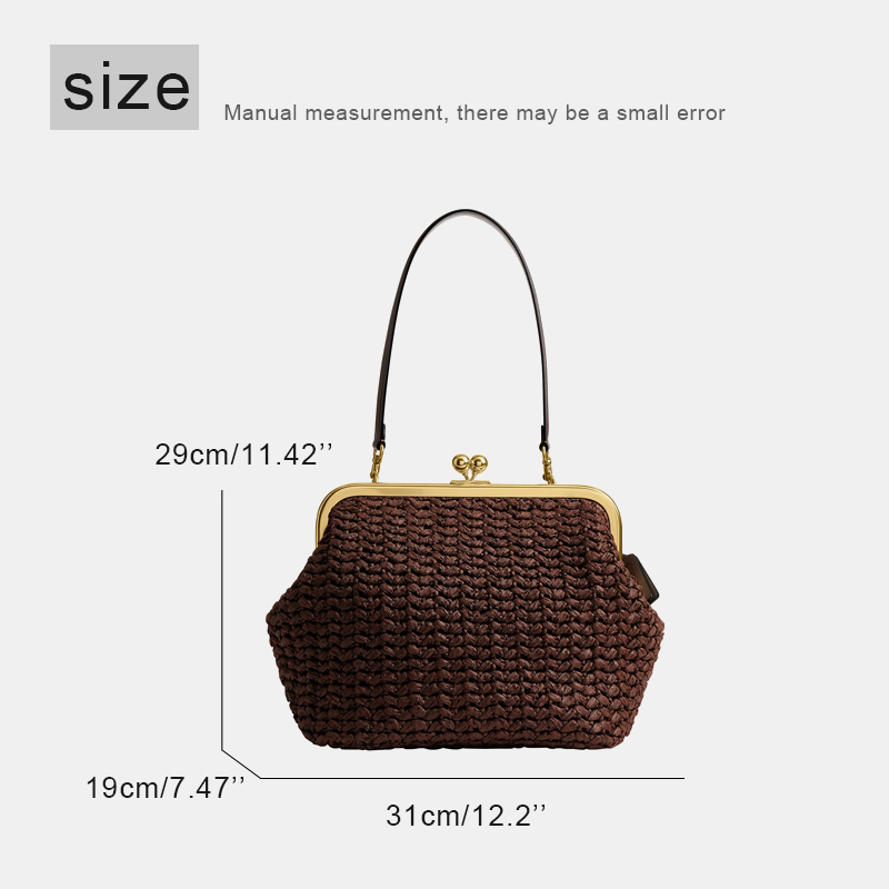 Hand-Woven Kisslock Frame Shou - Luxury Bags Of 2026 review and price